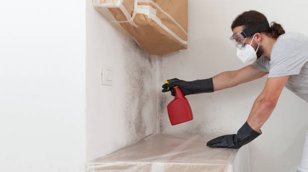 Professional Bathroom Mold Removal technician working in Gettysburg, PA