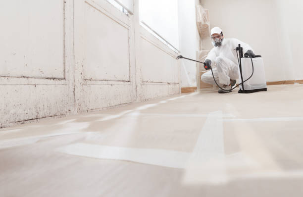 24/7 Emergency Bathroom Mold Removal experts in Gettysburg, PA
