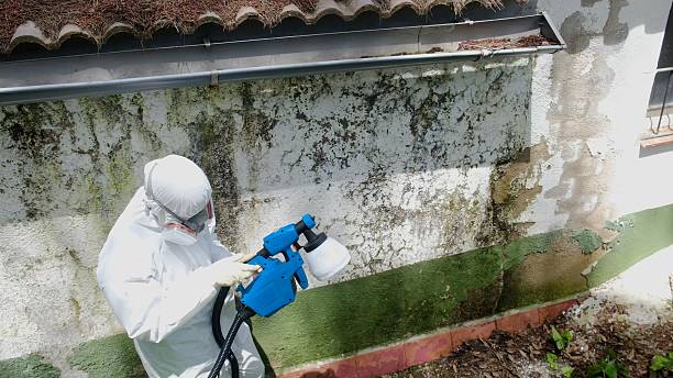 Top rated local Mold Remediation specialists in Gettysburg, PA